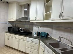 Dover Parkview (D5), Condominium #471963751